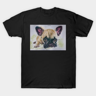 MISA’S ORIGINAL ART “AWESOME PETS” T-Shirt